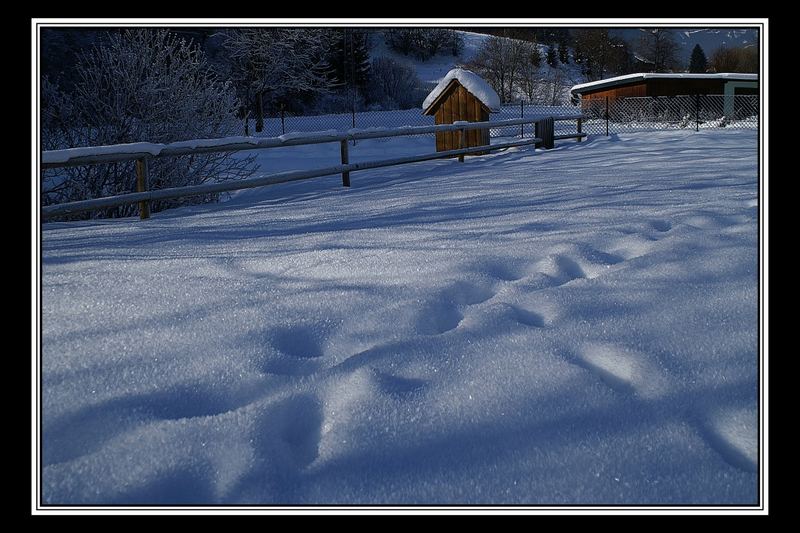 Schneedecke