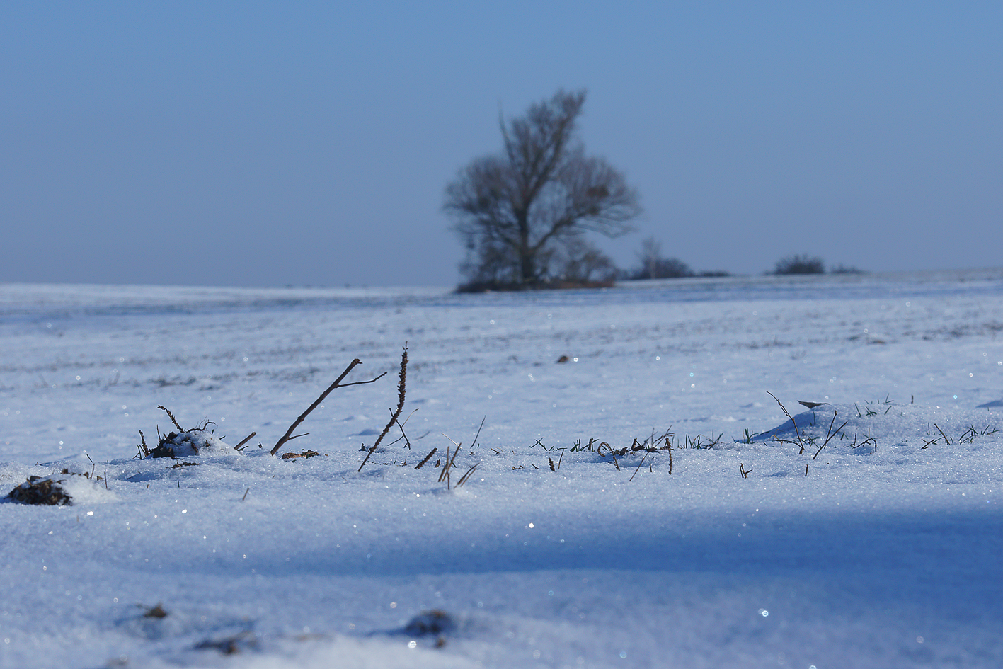 Schneedecke