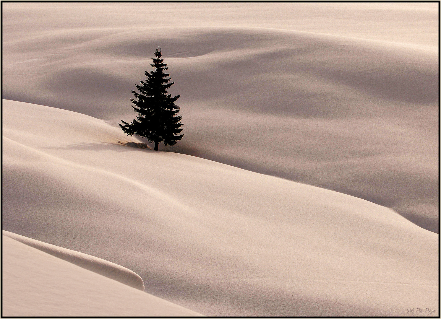 Schneedecke - eine Decke aus Schnee