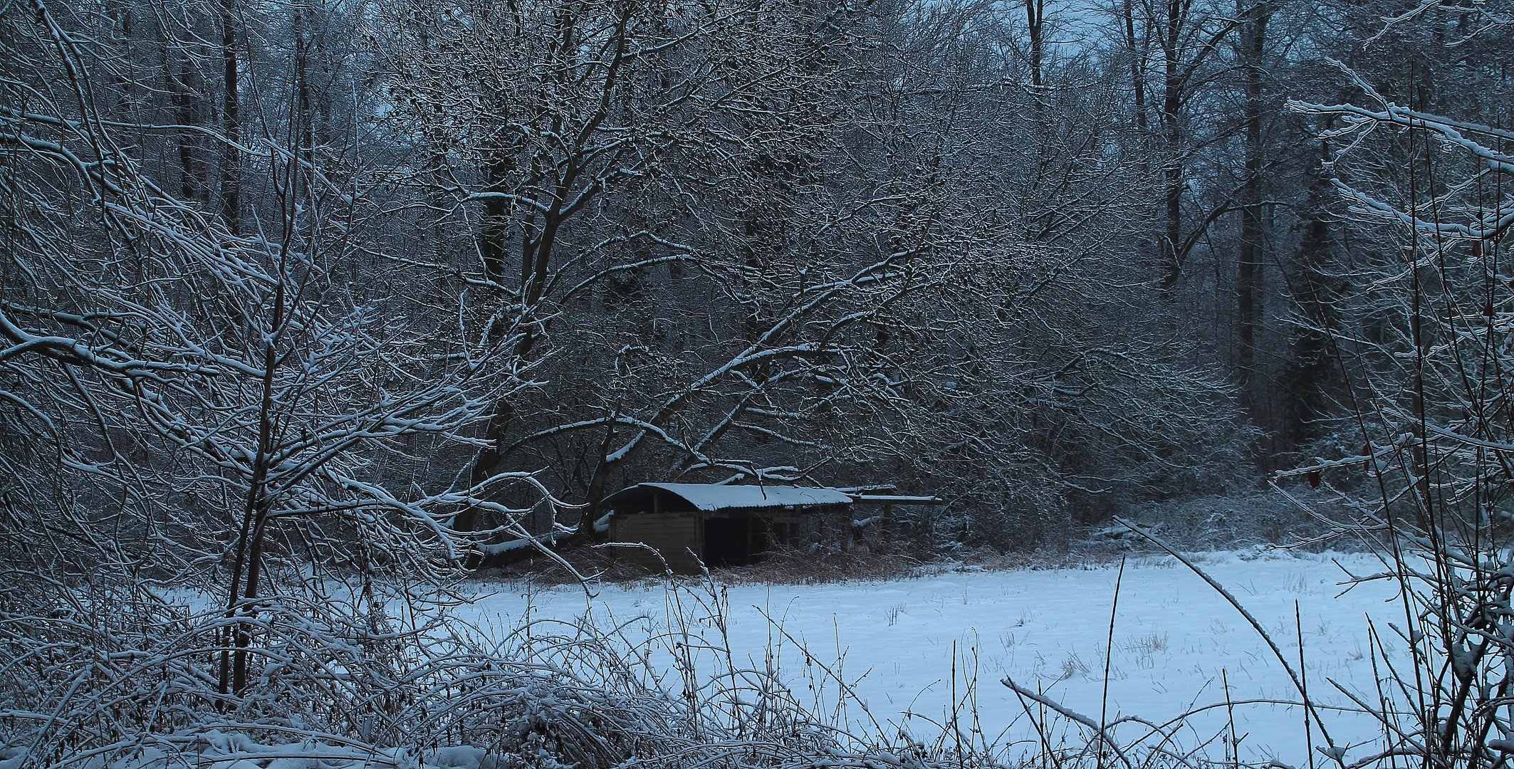 Schneedecke