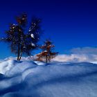 Schneedecke in Tirol