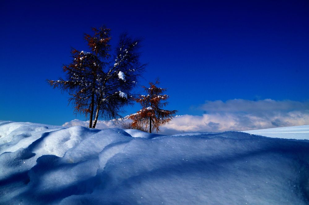 Schneedecke in Tirol