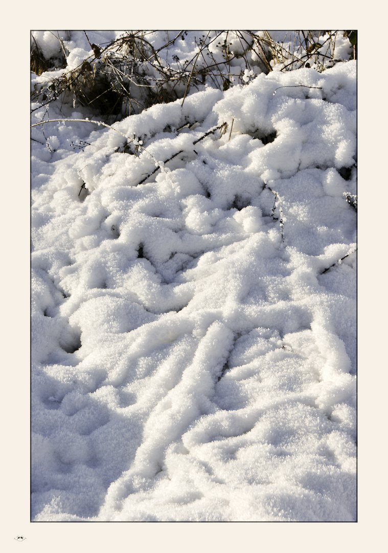 Schneedeckenfältchen