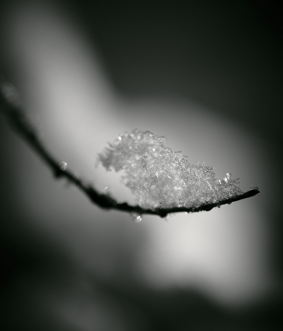 Schneedetail02