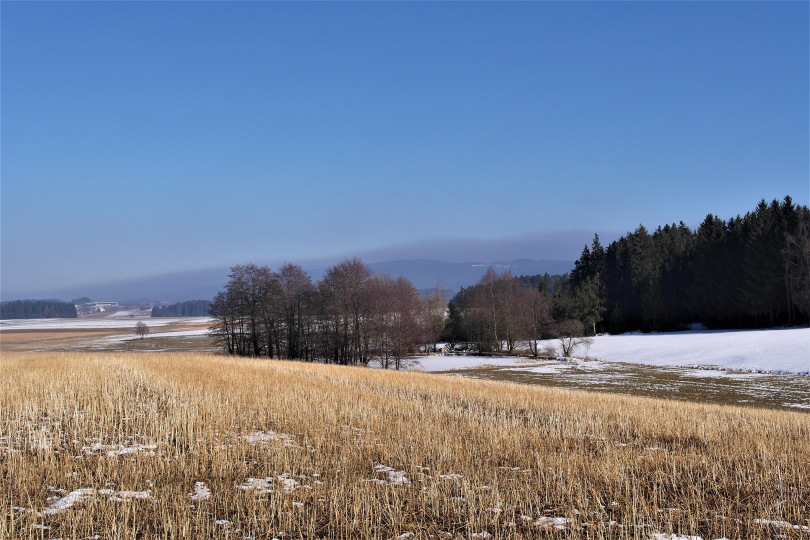 Schneedunst über dem Fichtelgebirge