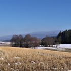 Schneedunst über dem Fichtelgebirge