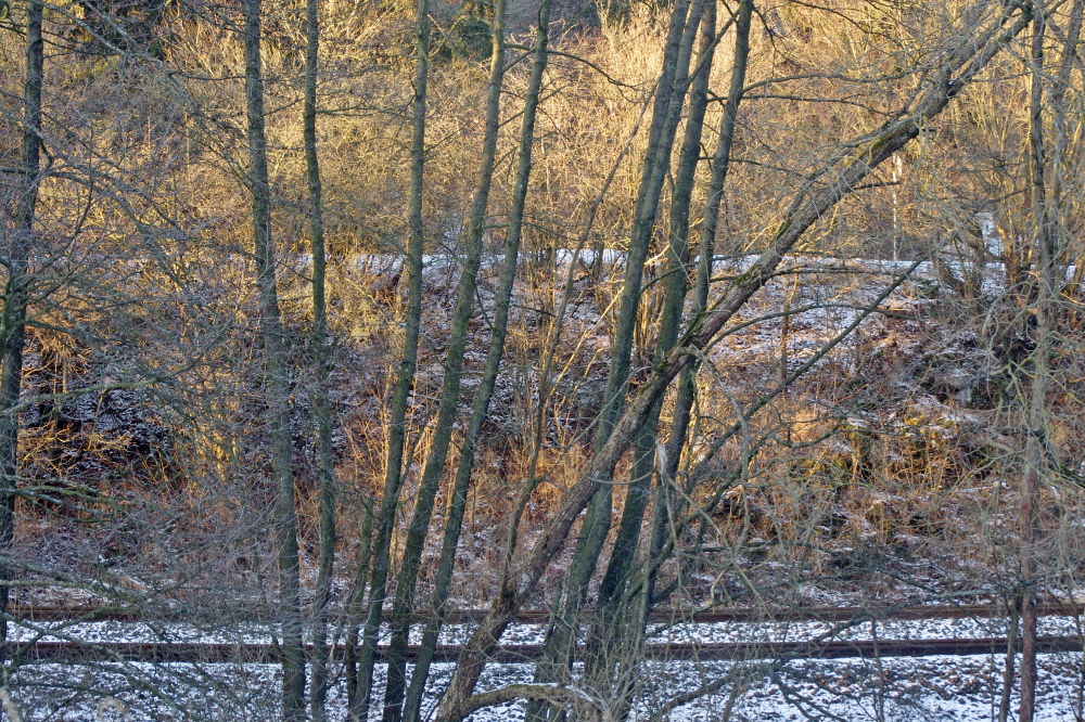 schneeeisenbahnwald