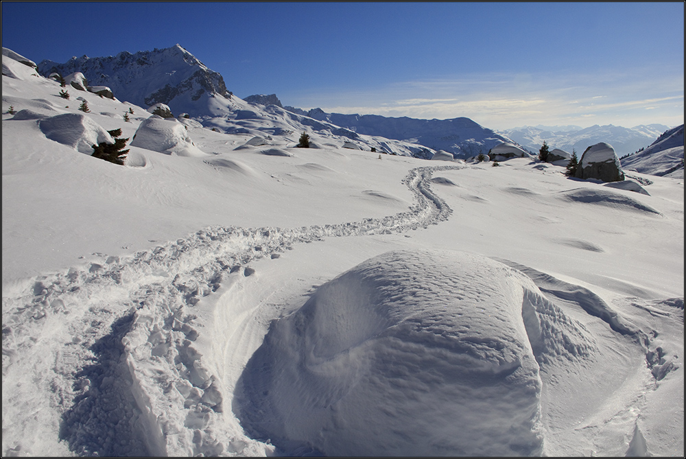 Schneeelefantenpfad