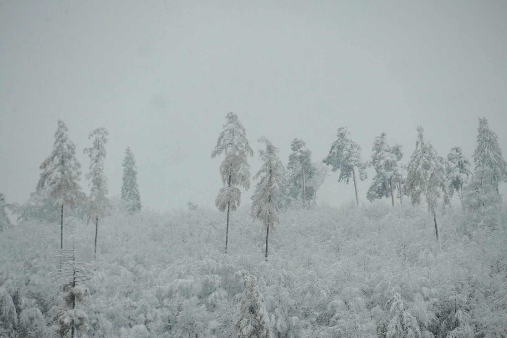 schneeendlich