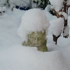 Schneeengel