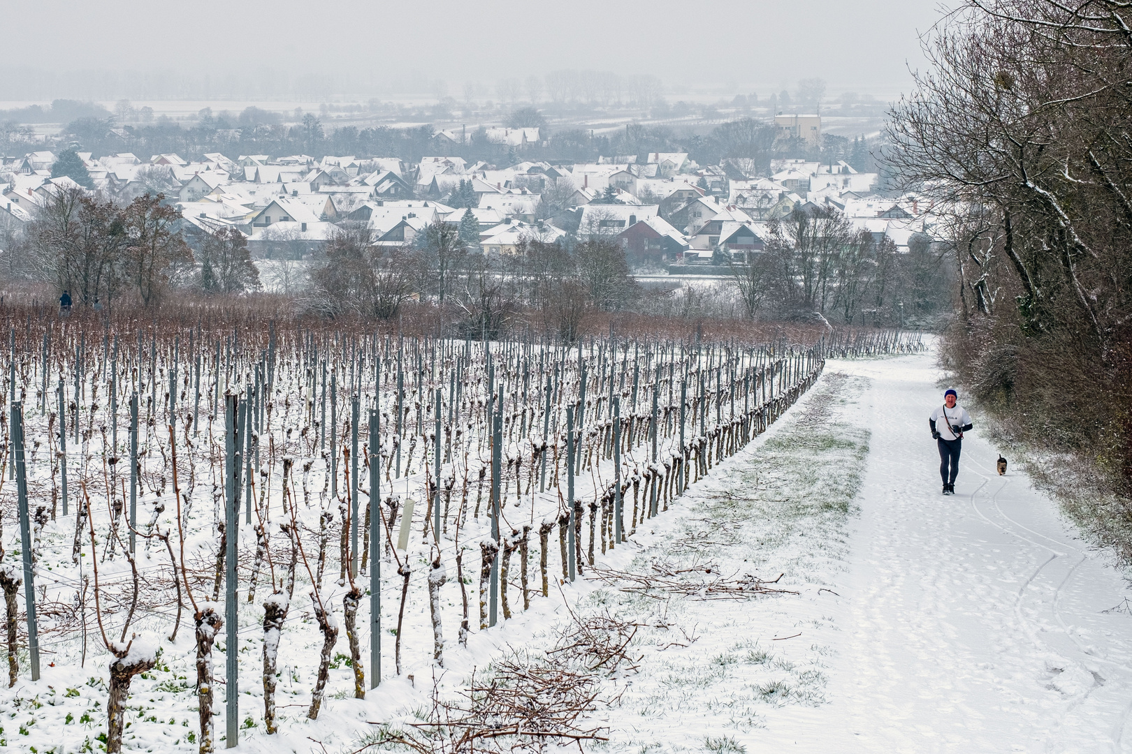 Schneeepisode in Rheinhessen