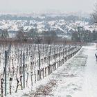 Schneeepisode in Rheinhessen