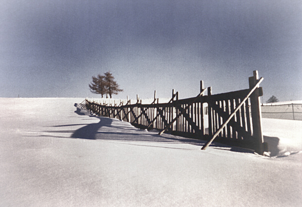 Schneefänger - Skink Pinhole Pancake mit Mamiya RB67 back