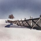 Schneefänger - Skink Pinhole Pancake mit Mamiya RB67 back