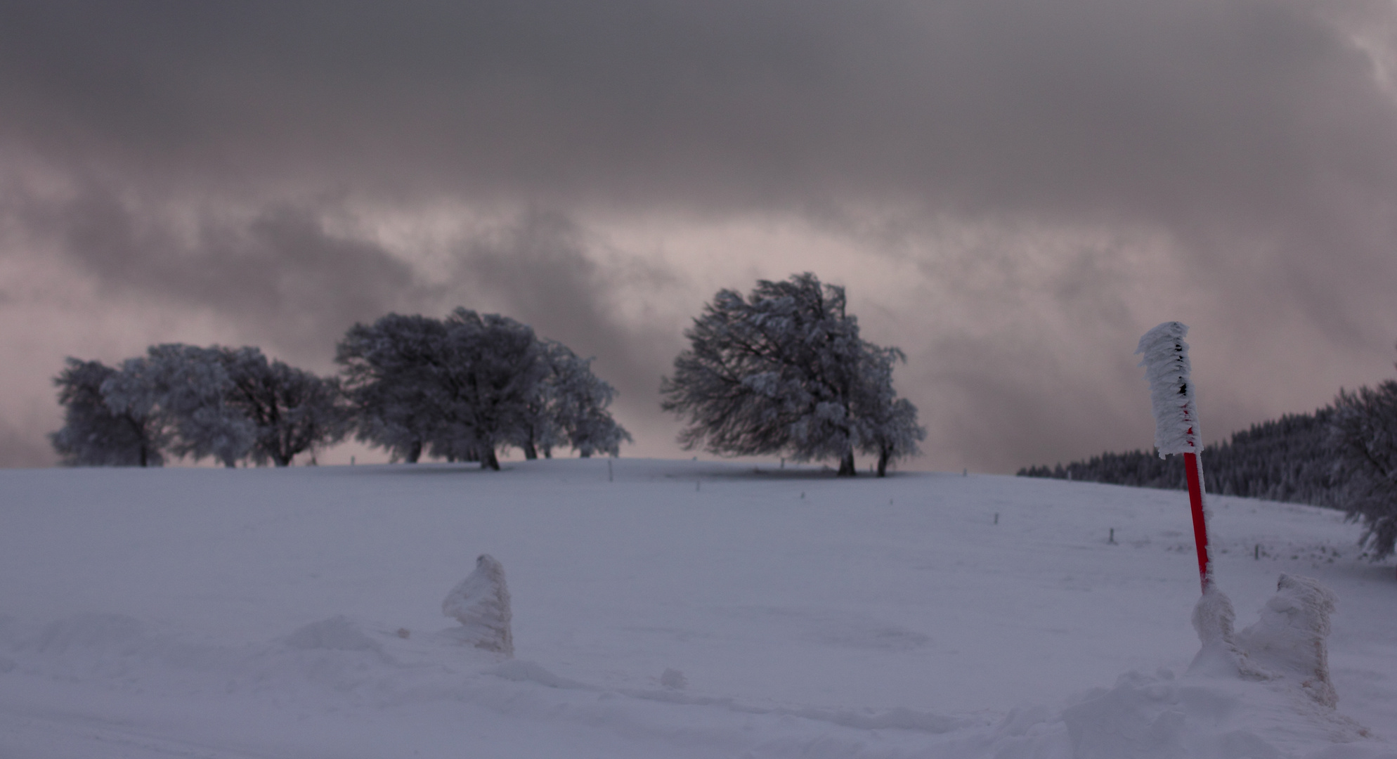 Schneefahne