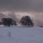 Schneefahne