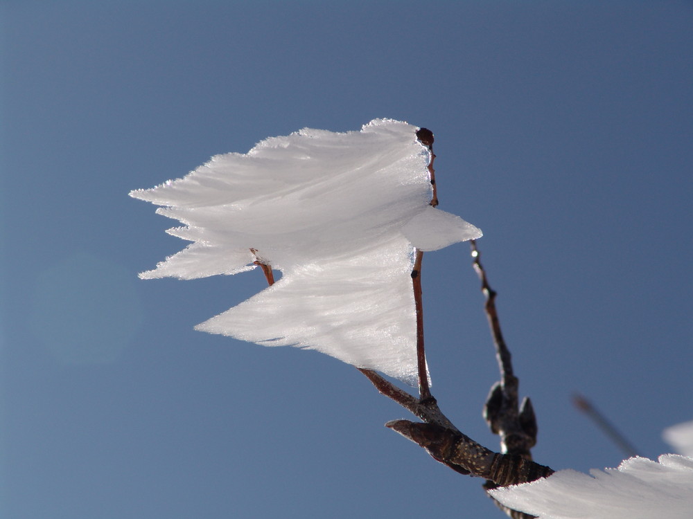 Schneefahne