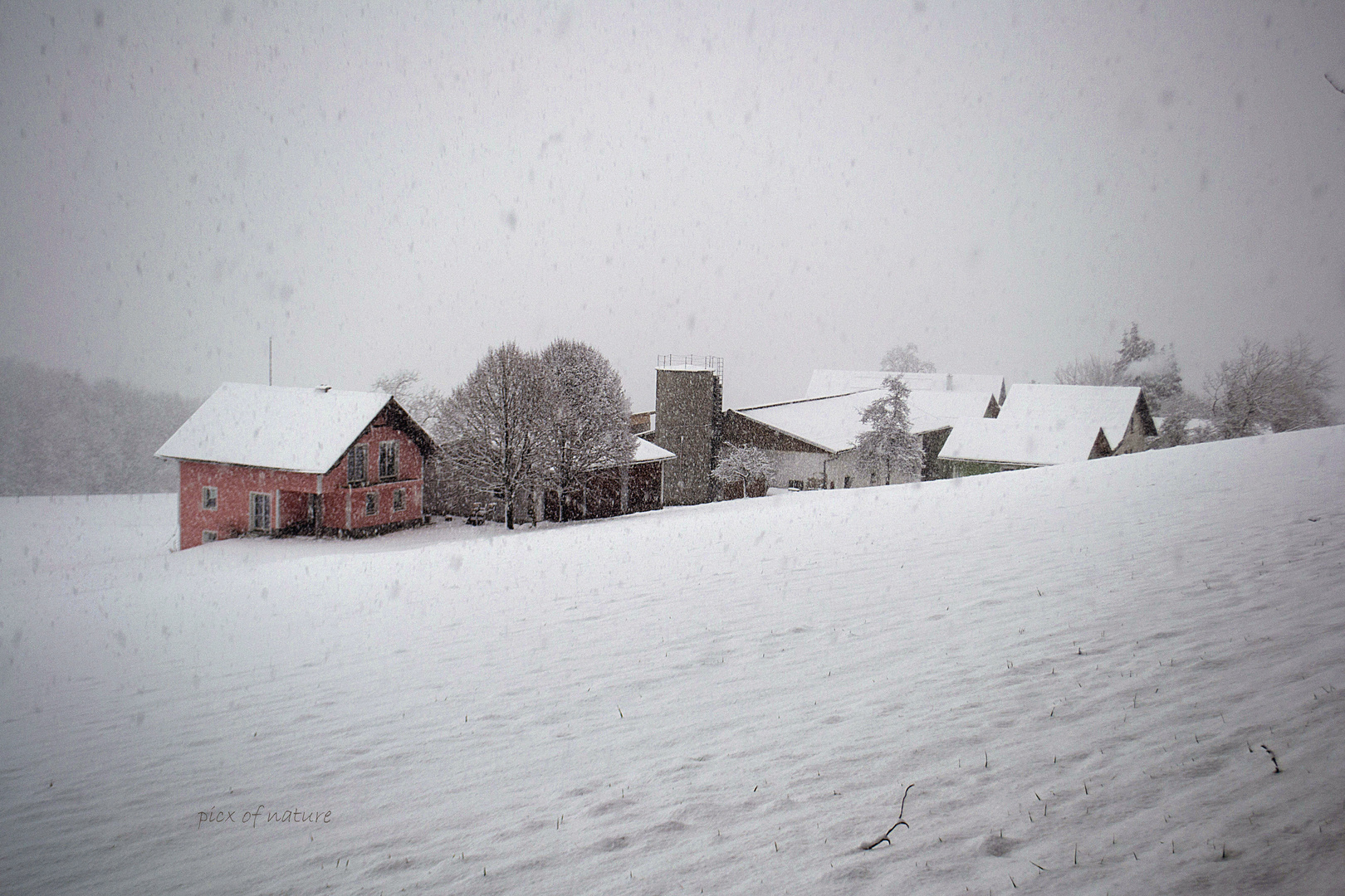 Schneefall