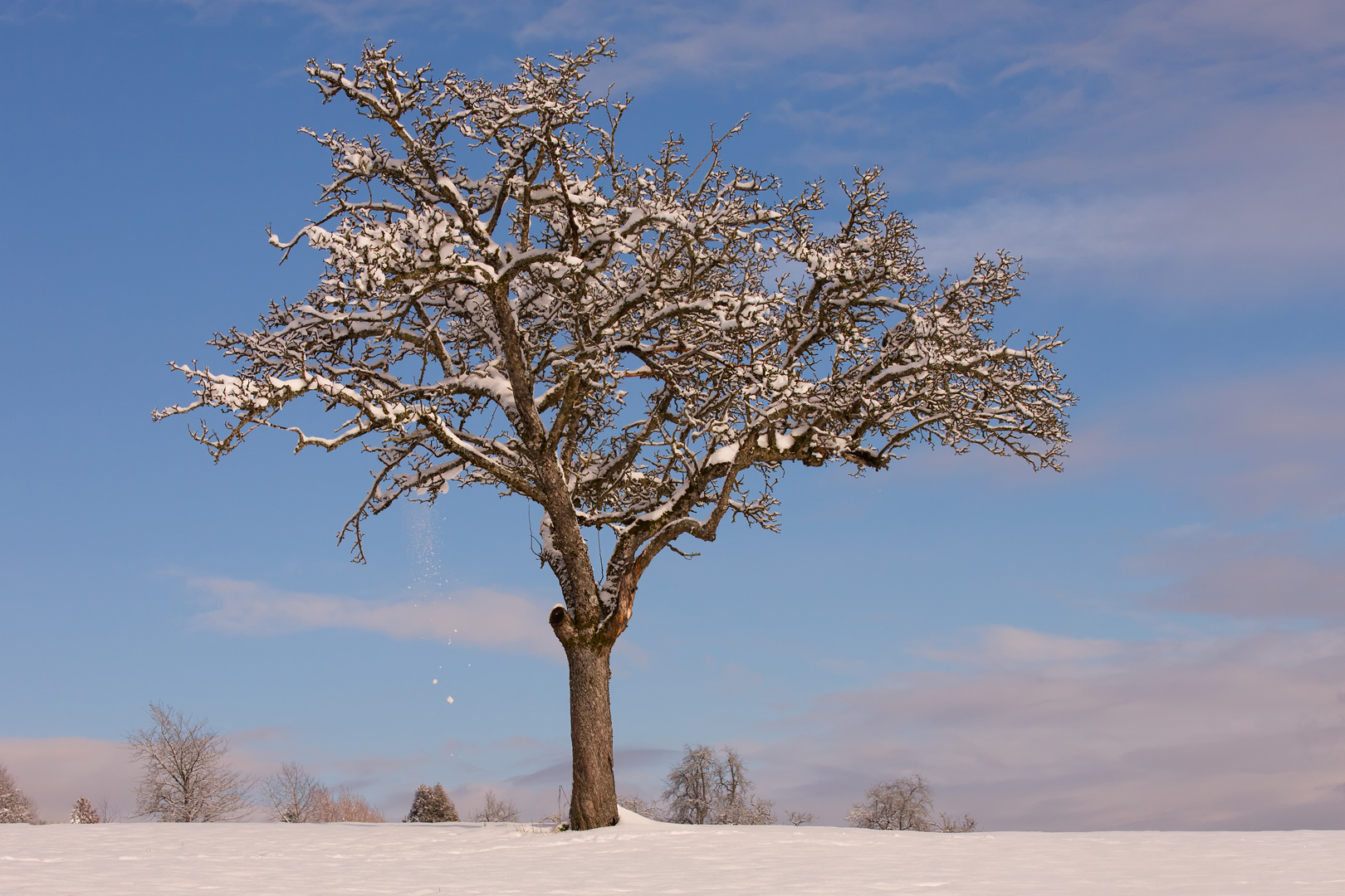 Schneefall