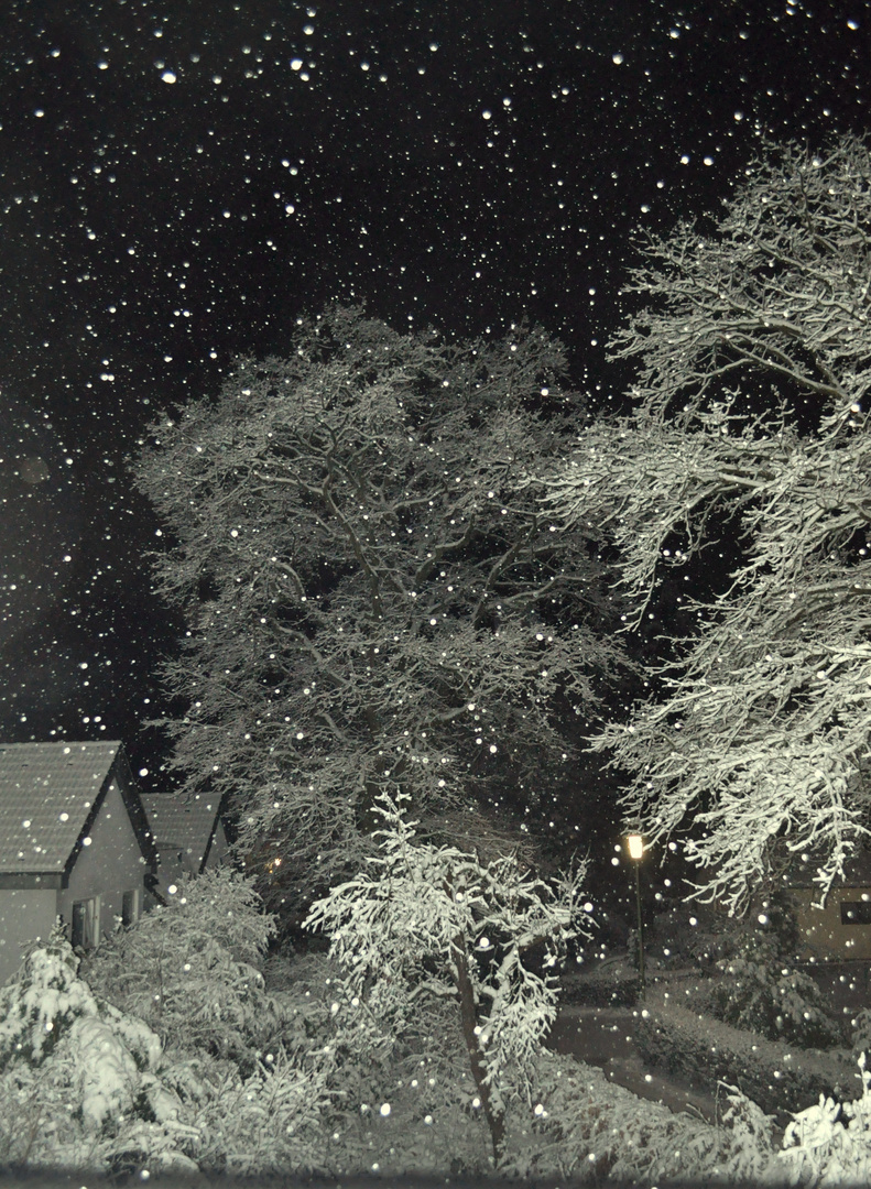 Schneefall am Abend Foto & Bild jahreszeiten, winter, naturereignisse
