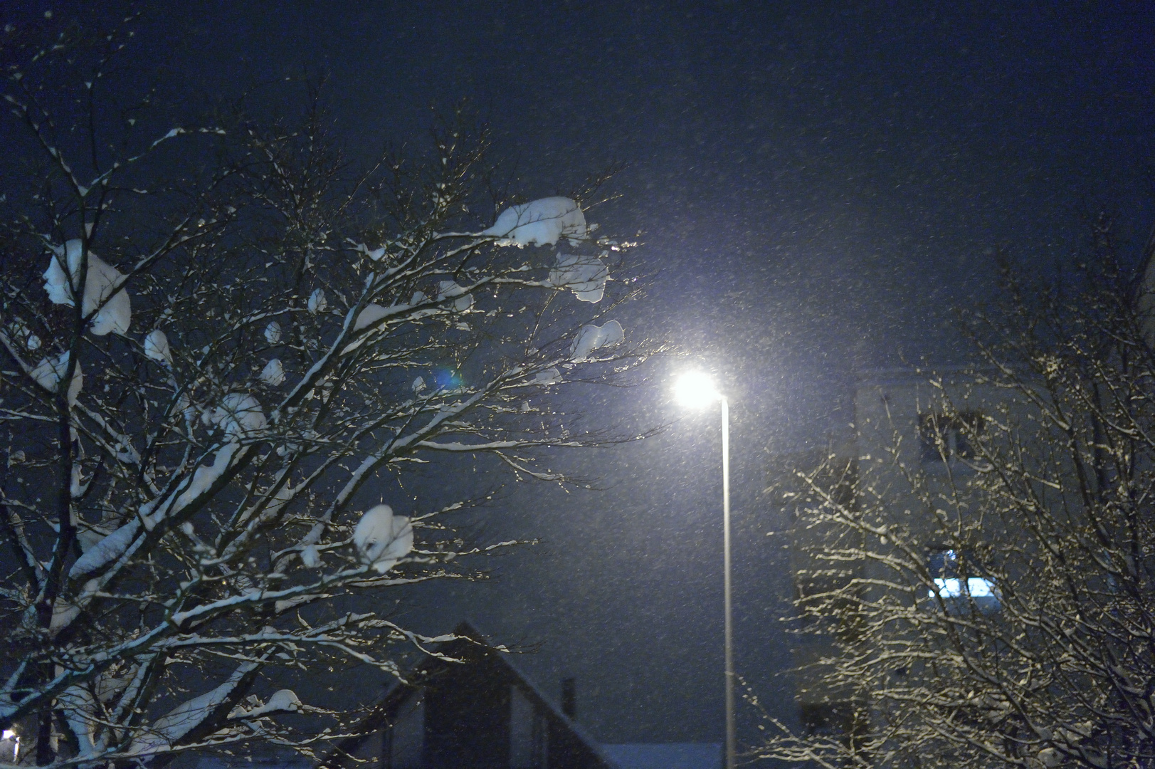 Schneefall am frühen Morgen