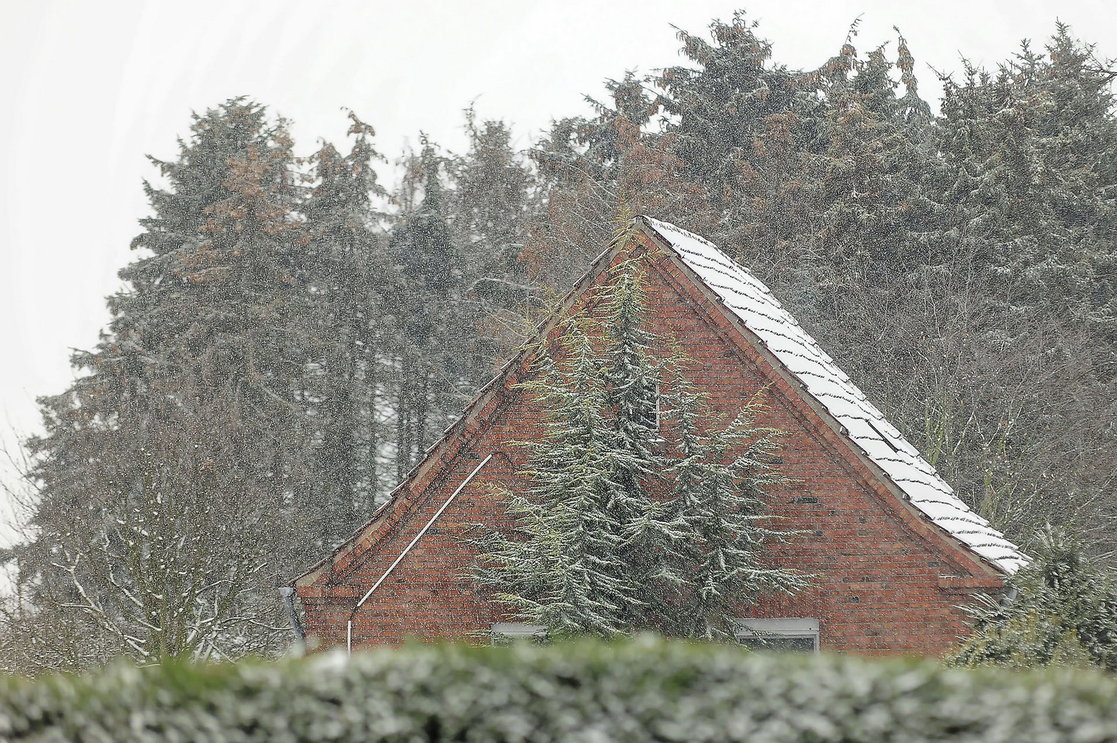 Schneefall am Nachmittag (30.01.2019)