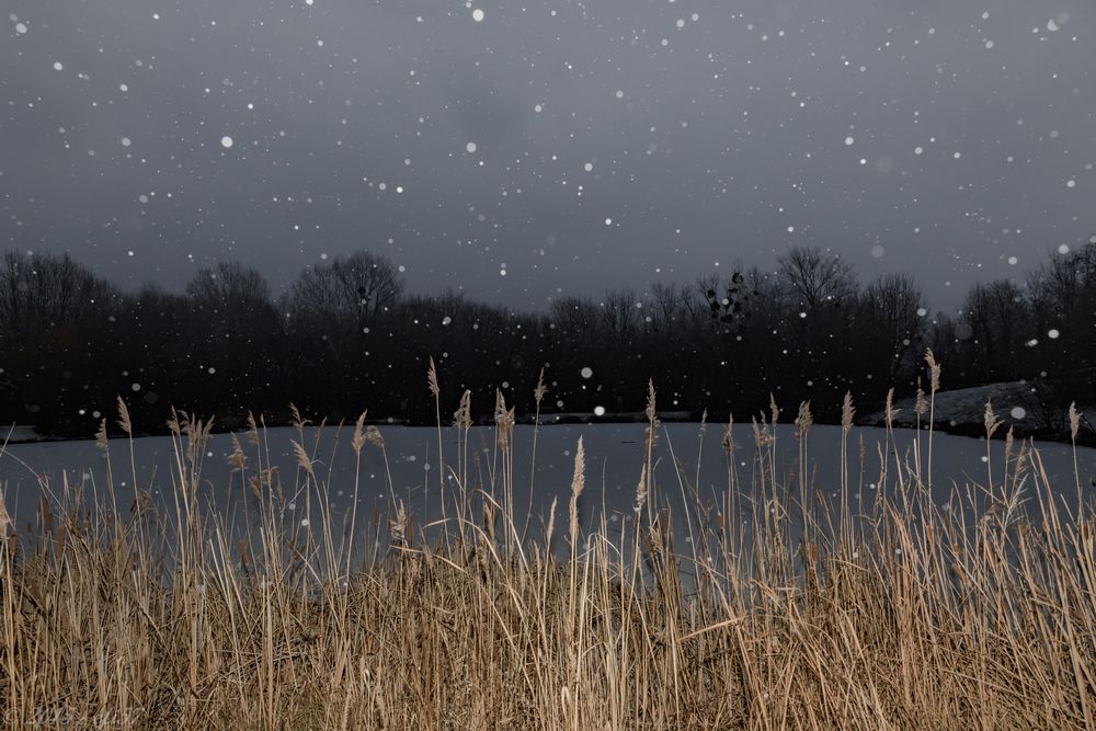 Schneefall am See