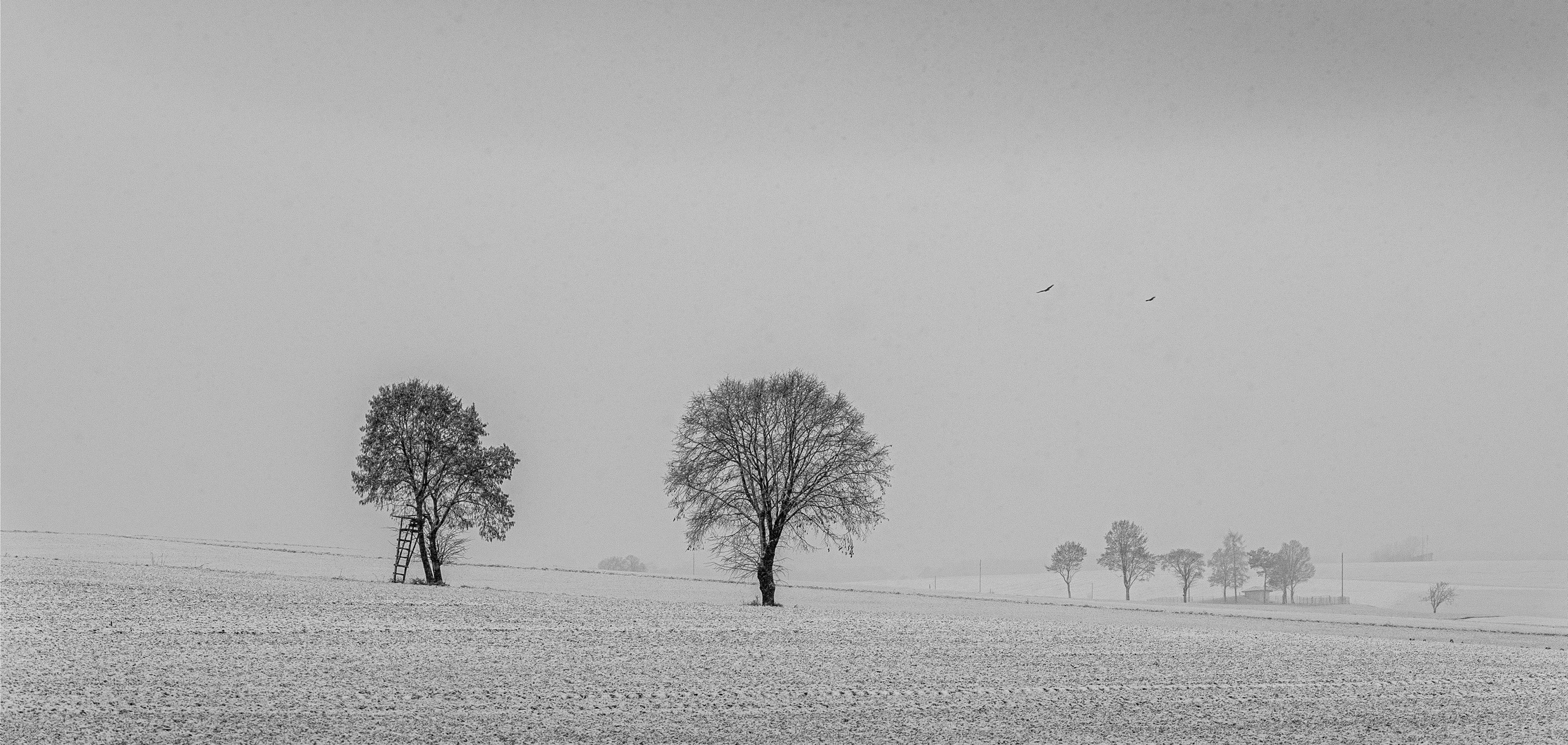 Schneefall Foto & Bild deutschland, europe, bayern Bilder auf