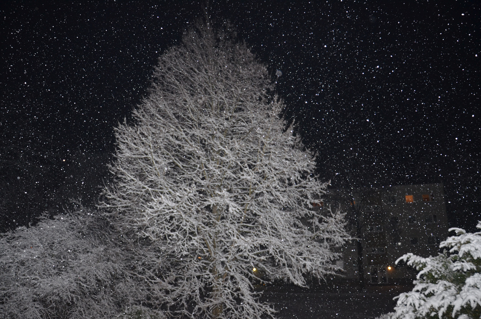 Schneefall bei Nacht