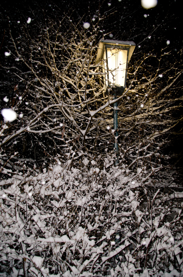 Schneefall bei Nacht