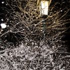 Schneefall bei Nacht