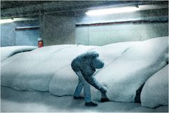 Schneefall bis in die Niederungen