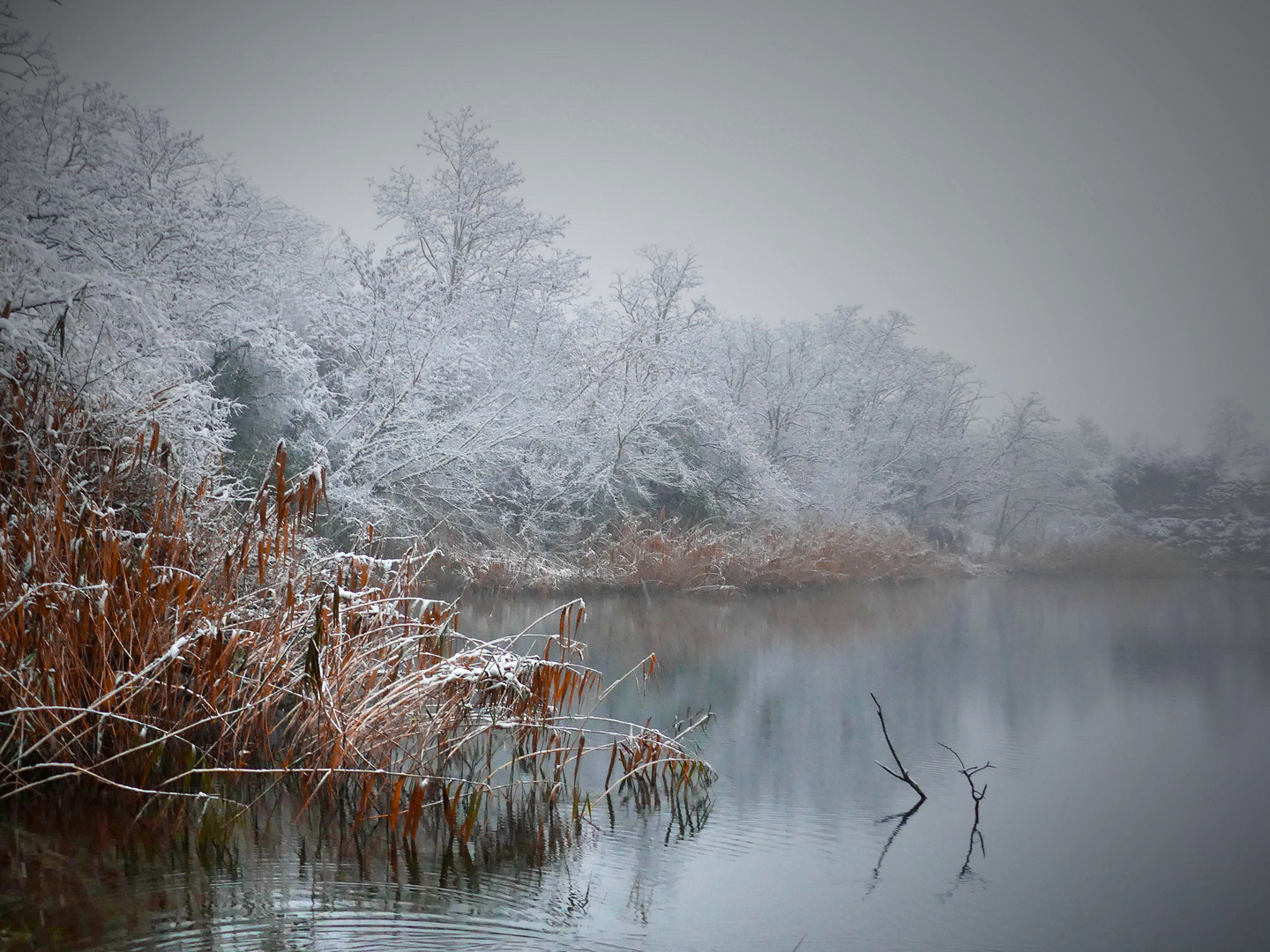 Schneefall bis ins Flachland