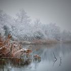 Schneefall bis ins Flachland