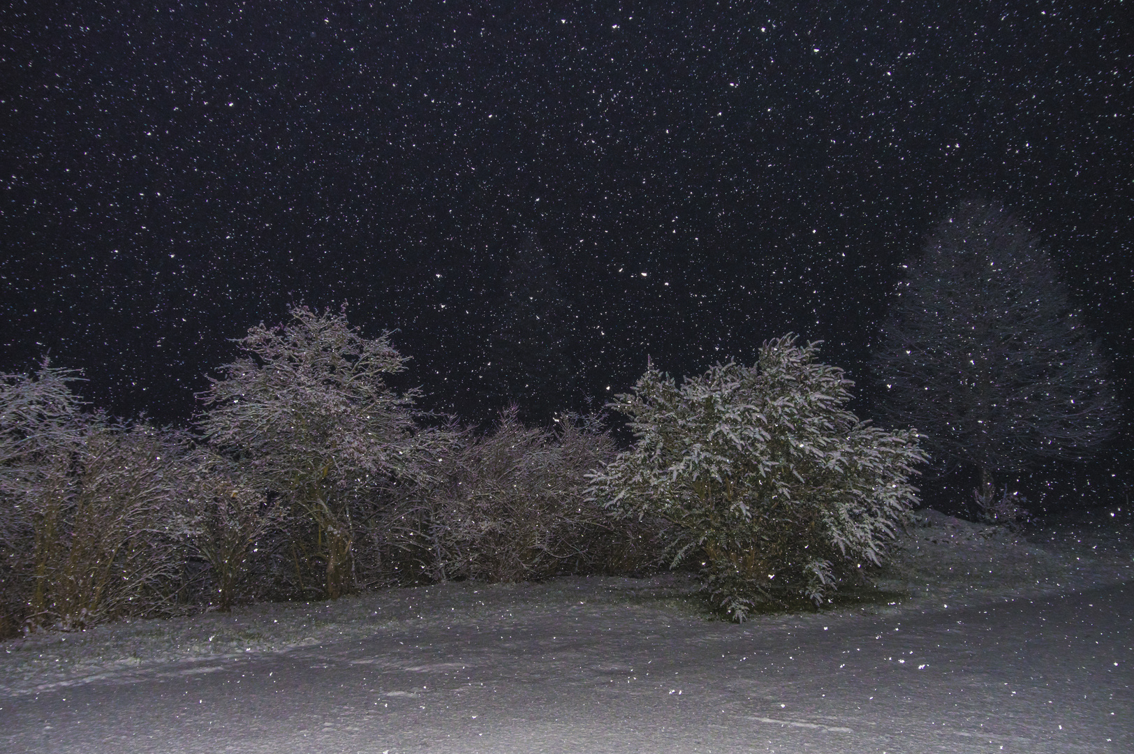 Schneefall Foto & Bild landschaft, jahreszeiten, winter Bilder auf