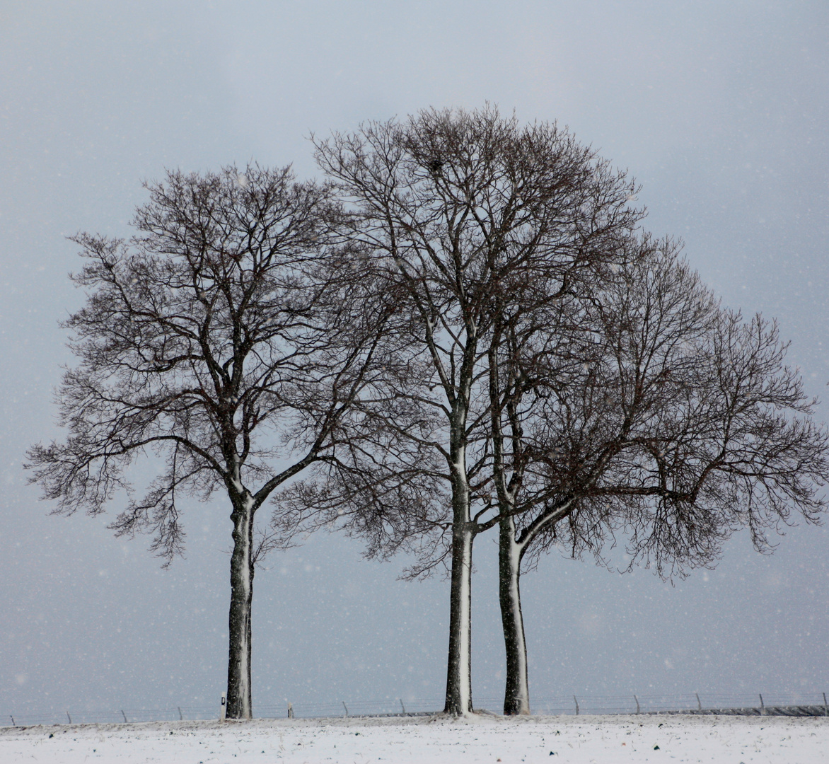 Schneefall die 2.