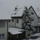 ...Schneefall