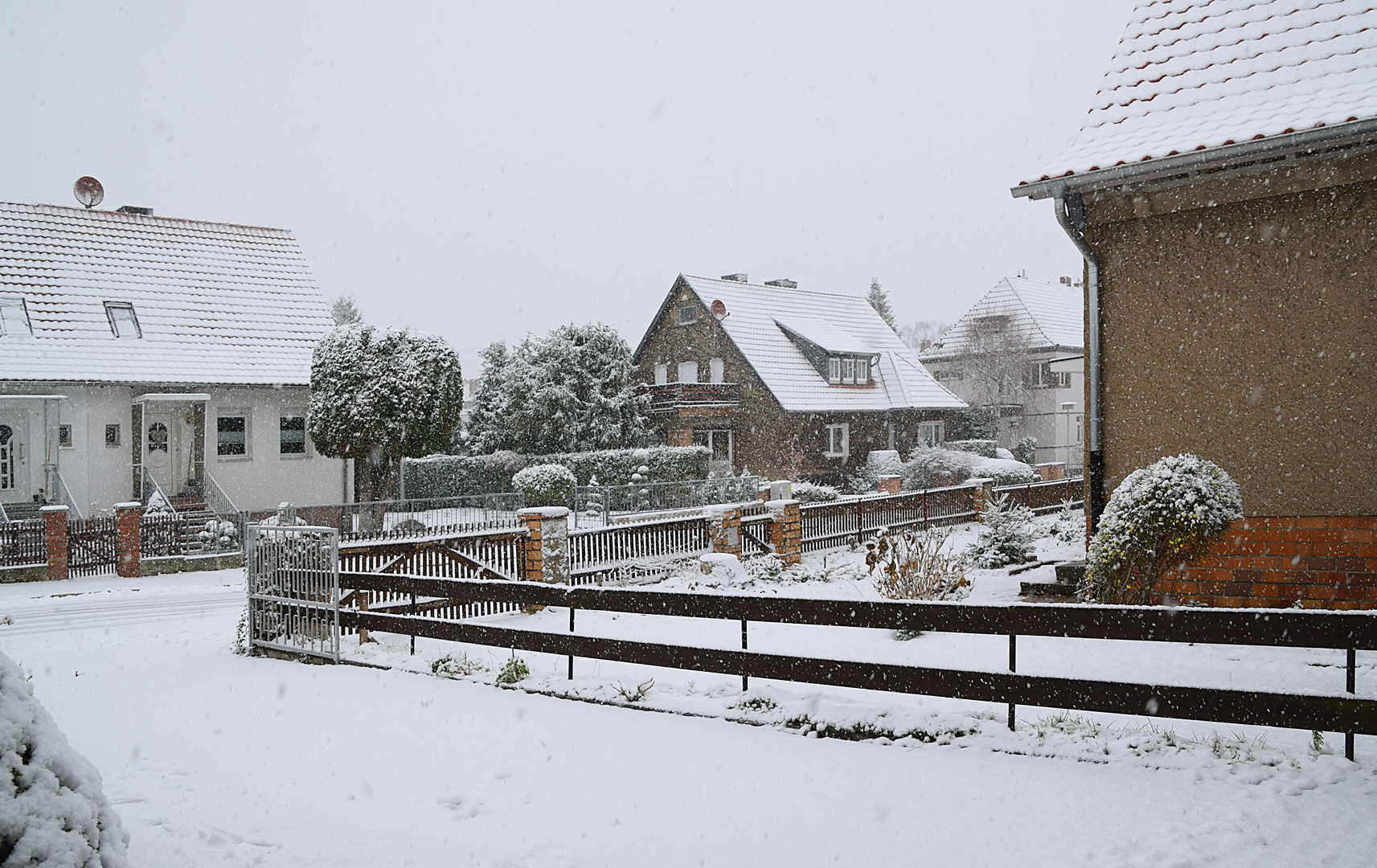Schneefall Foto & Bild winter, natur, jahreszeiten Bilder auf