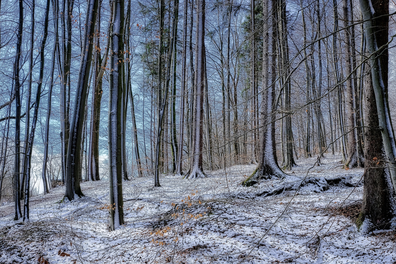 Schneefall Frühlingsanfang 1