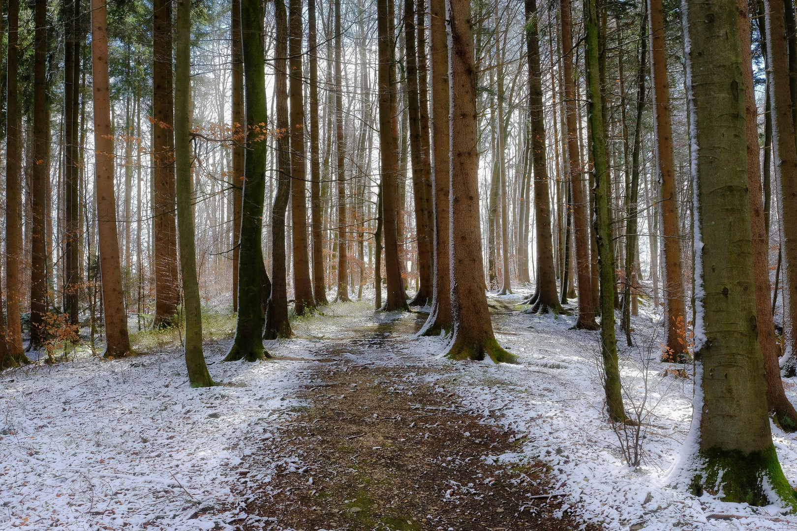 Schneefall Frühlingsanfang 2