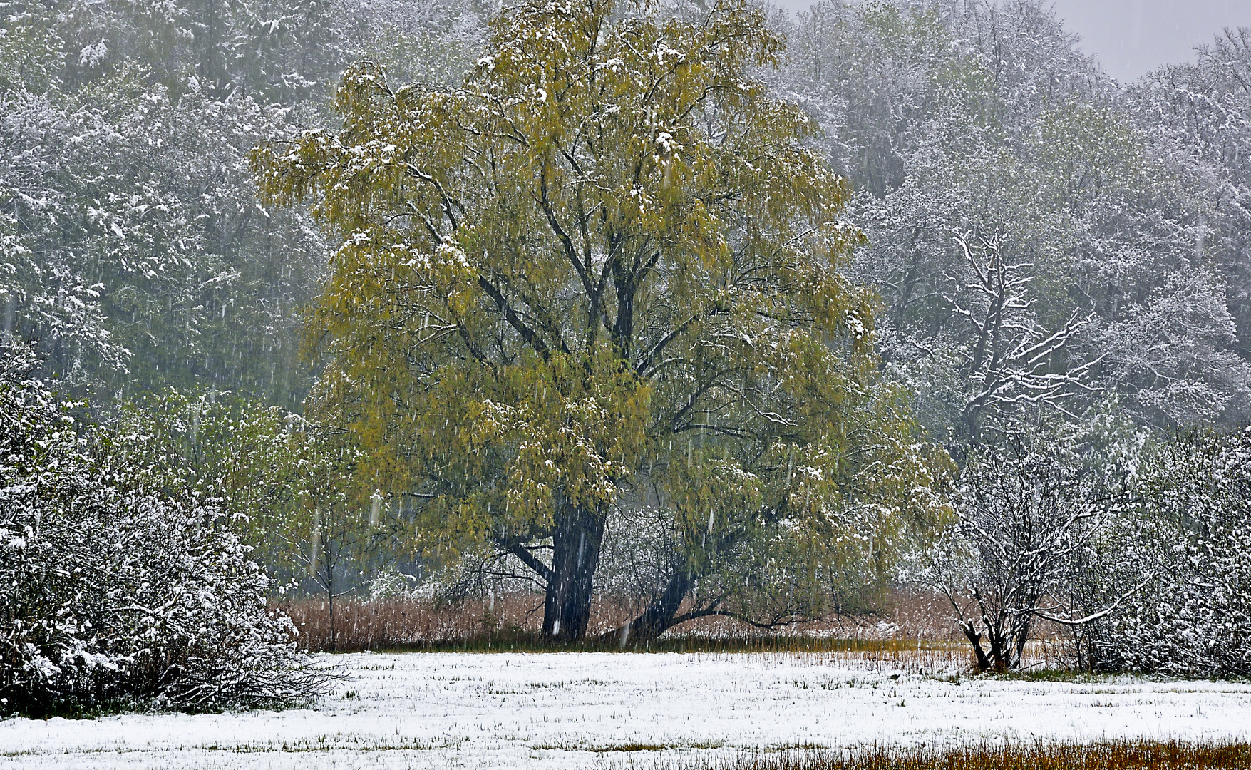 Schneefall im April