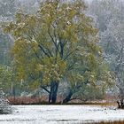 Schneefall im April