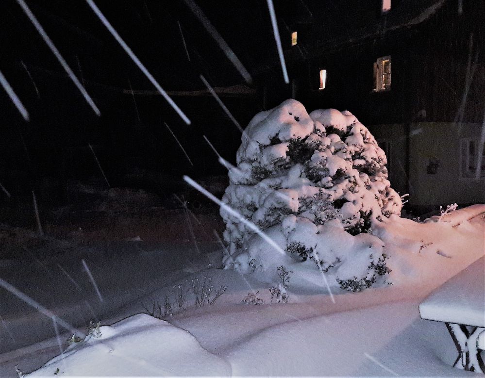 Schneefall im Blitzlicht