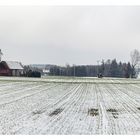 Schneefall im Emkum