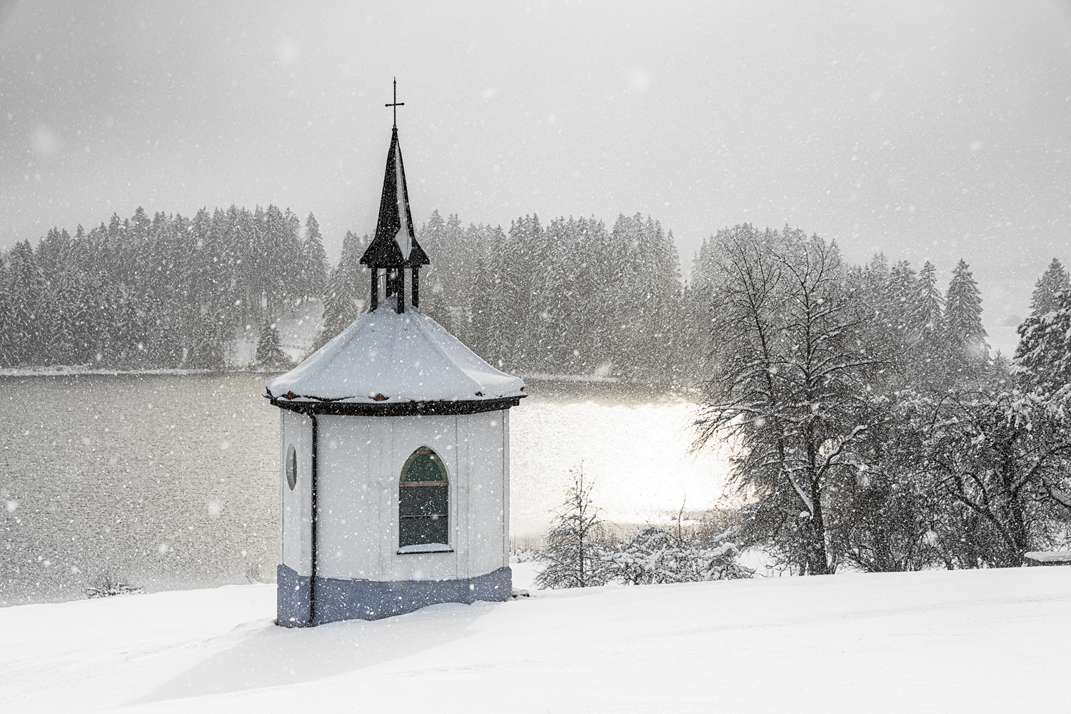 schneefall im gegenlicht