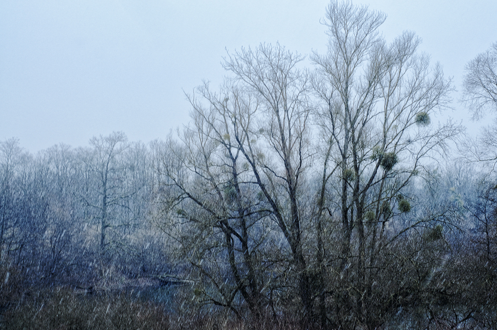 Schneefall im Groschenwasser