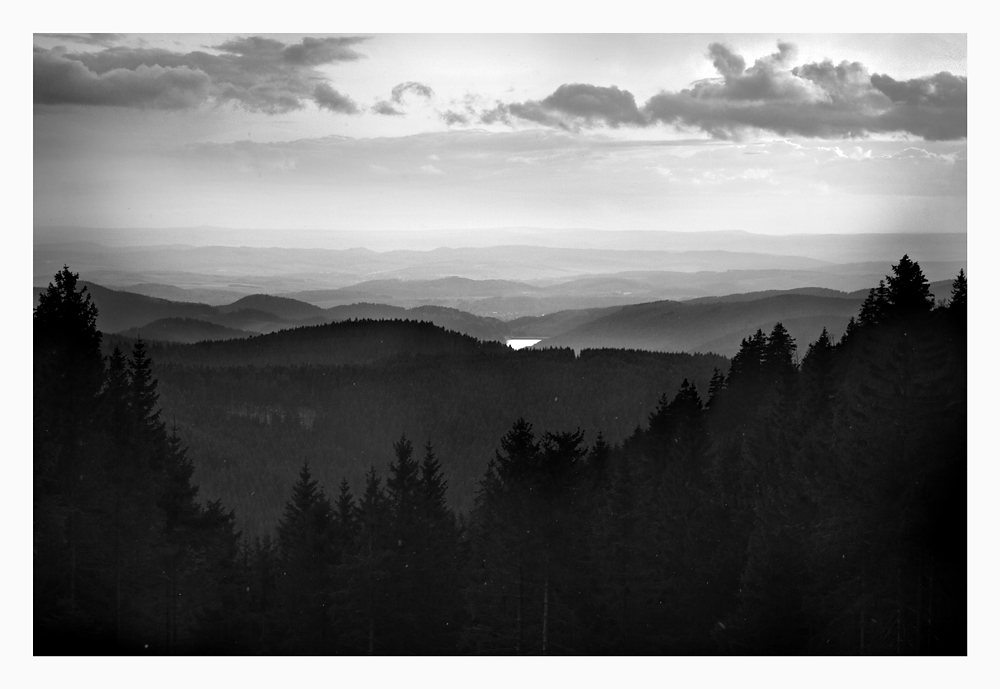 - Schneefall im Harz -