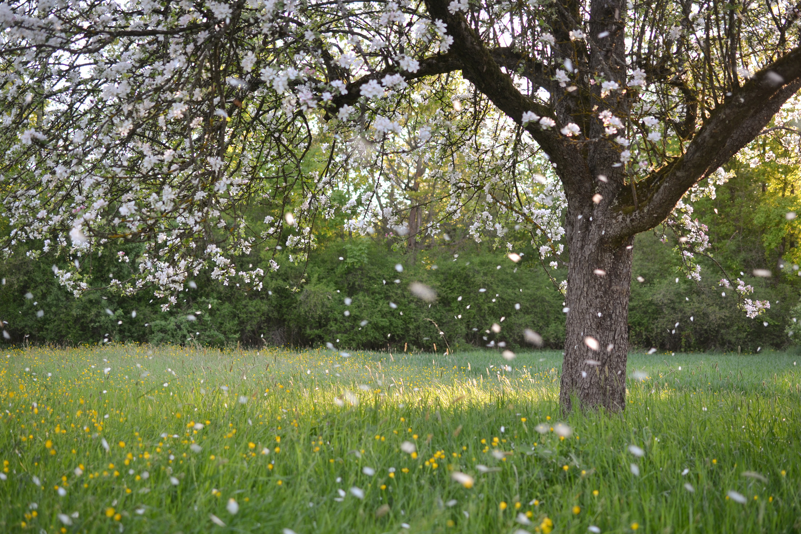 Schneefall im Mai ...