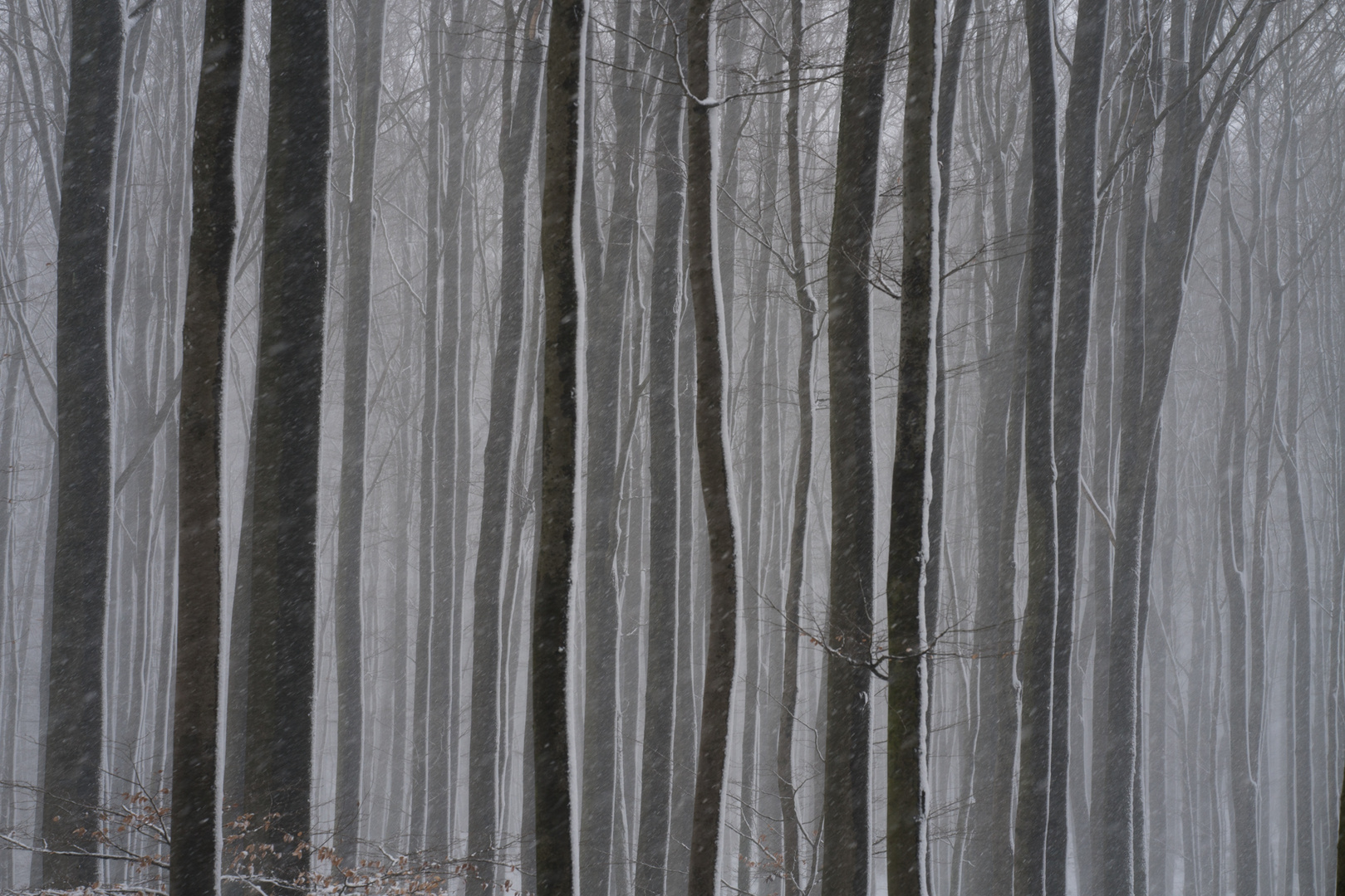 Schneefall im Taunus