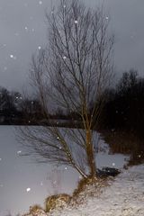 Schneefall in der Dämmerung